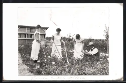 AK Arvedshof, Haus- und landwirtschaftliche Frauenschule, Arbeit in den Rosenkulturen