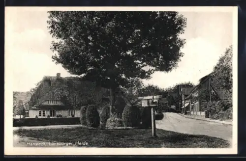 AK Hanstedt /Lüneburger Heide, Dorfstrasse mit Reetdachhaus u. Wegweiser