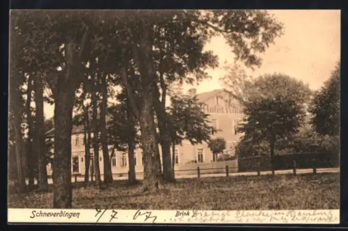 AK Schneverdingen, Brink, Hotel Witte