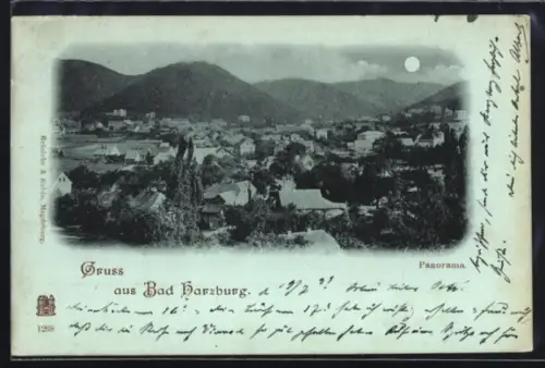 Mondschein-AK Bad Harzburg, Panorama, Totalansicht aus der Vogelschau