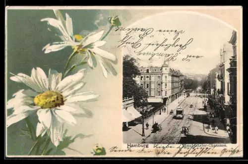 Lithographie Hamburg, Eimsbütteler-Chaussee mit Strassenbahn, Margeriten, Passepartout