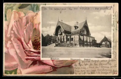 AK Bremen, Meierei am Bürgerpark m. Rosenblüte