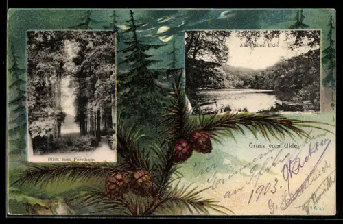 AK Eutin, Uklei-See, Blick vom Forsthaus