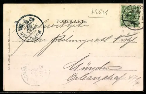 Lithographie Rüdesheim /Rhein, Burg Rheinstein, Frau am Rosenstrauch, Passepartout