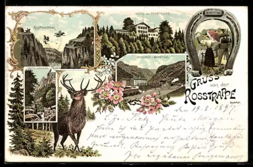 Lithographie Thale, Rosstrappe, Hotel an der Rosstrappe, Eingang Bodethal