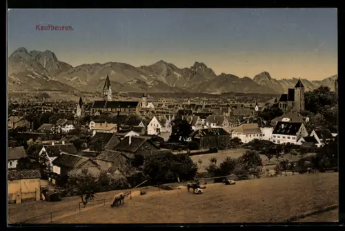 AK Kaufbeuren, Ortsansicht vor Bergpanorama aus der Vogelschau, Kühe