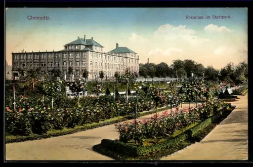 AK Chemnitz, Rosarium im Stadtpark, mit Gebäude