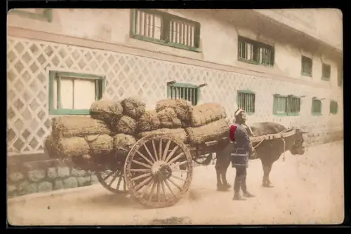 AK Japaner mit Ochsengespann auf der Strasse