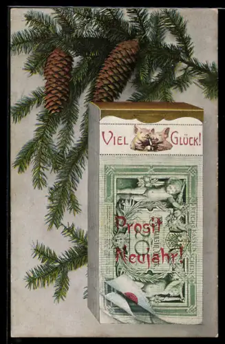 AK Reichskassenschein Zwanzig Mark unter Tannenzapfen