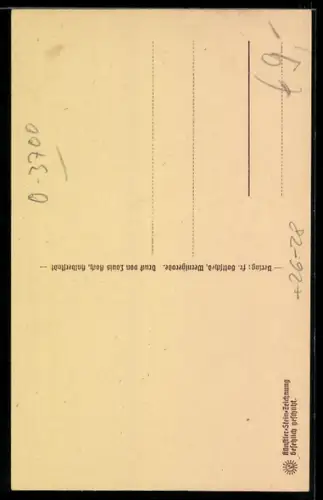 Steindruck-AK Wernigerode, Westerntor