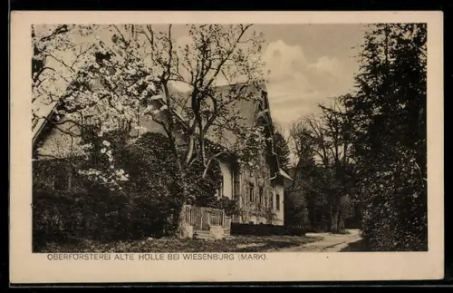 AK Wiesenburg /Mark, Gasthof Oberförsterei Alte Hölle