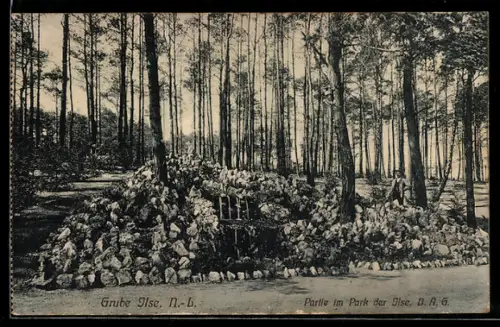 AK Grube Ilse /N.-L., Partie im Park an der Ilse