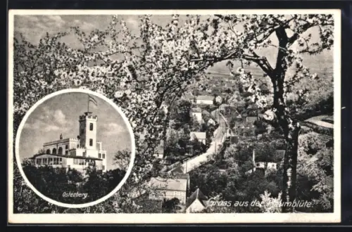 AK Osterberg, Gasthof Osterberg / Sächsische Wartburg, Teilansicht bei Baumblüte