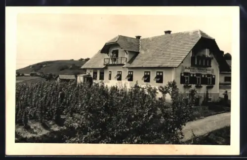 AK Radkersburg, Gasthaus zur Klöcher-Perle A. Palz, Rebstöcke
