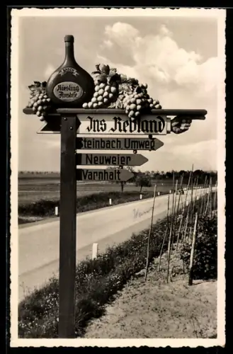 AK Neuweier /Baden-Baden, Wegweiser ins Rebland, Steinbach, Neuweier, Varnhalt