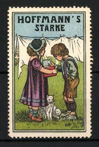 Reklamemarke Bad Salzuflen, Hoffmann`s Stärke, Kinder mit Katze vor Wäscheleine