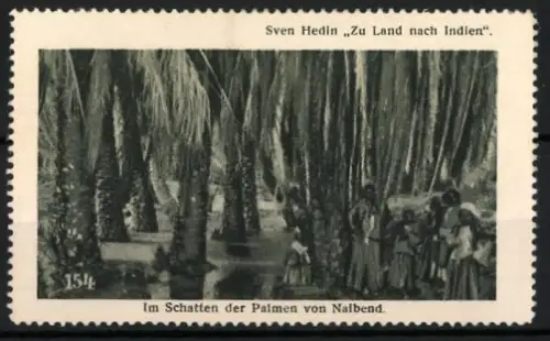 Reklamemarke Sven Hedin, Expedition Zu Land nach Indien, Palmen von Nalbend