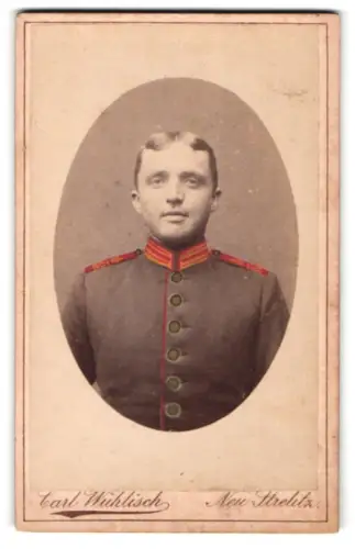 Fotografie Carl Wühlisch, Neu-Strelitz, Garde-Soldat in Uniform, tls. handkoloriert