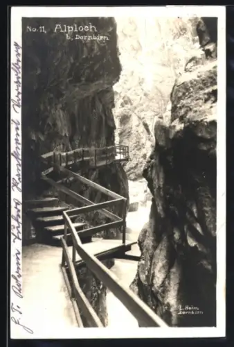 AK Dornbirn, Alploch, Felsenschlucht mit hölzernem Steg