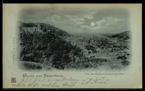 Mondschein-AK Heidelberg, Ortsansicht von der Schlossterrasse gesehen
