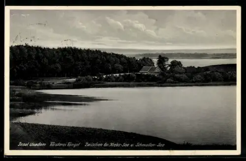 AK Usedom, Försterei Tangel, zwischen Gr. Krebs-See und Schmollen-See