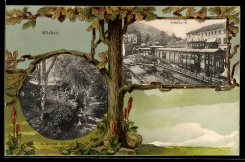 Lithographie Wildbad, Trinkhalle, Ortspartie, Eichenbaum, Passepartout