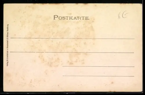 Lithographie Rüdesheim, Schloss Rheinstein, Postkutsche auf Landstrasse, Passepartout