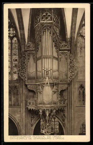 AK Strassburg, Die Orgel im Münster