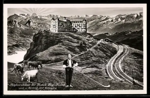 AK Rigi-Kulm, Alphornbläser der Hotels mit Kühen