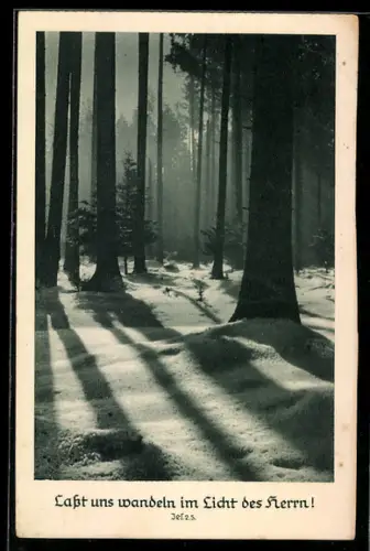 AK Lasst uns wandeln im Licht des Herrn!, Jes. 2, 5, Sinnspruch