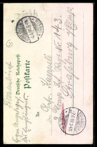 Lithographie Rüdesheim, Ortsansicht mit Rheindampfern