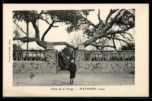 AK Matarieh, Arbre de la Vierge avec un enfant devant l`entrée en pierre, 1904