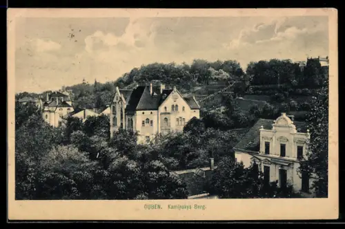 AK Guben, Kaminskys Berg aus der Vogelschau