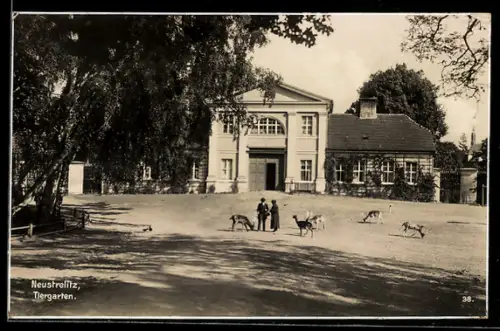 AK Neustrelitz, Tiergarten, Gebäude, Streichelzoo