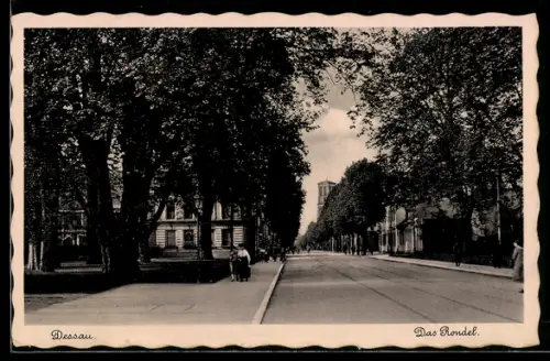 AK Dessau, Das Rondel, Strassenpartie mit Turmblick