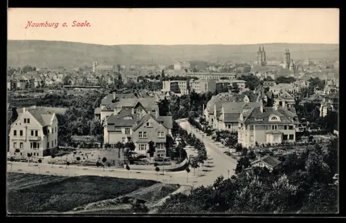 AK Naumburg a. Saale, Stadtansicht mit Wohnhäusern und Dom
