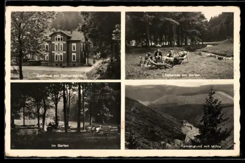 AK Unterneubrunn, Gasthaus-Pension zur Tannenmühle F. O. Geier, Liegewiese, Tannengrund mit Mühle