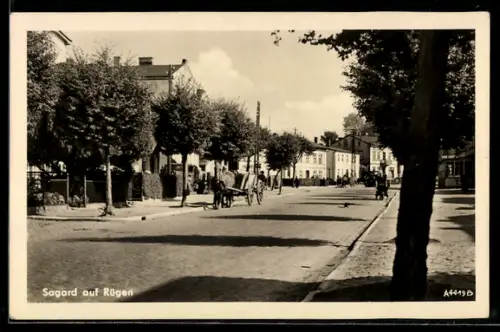 AK Sagard auf Rügen, Strassenansicht mit Bäumen und Pferdewagen