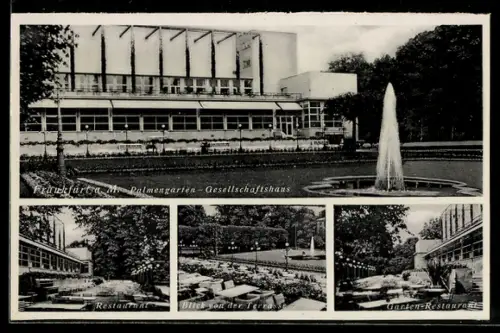 AK Frankfurt-Westend, Palmengarten-Gesellschaftshaus, Restaurant, Garten-Restaurant, Blick von der Terrasse