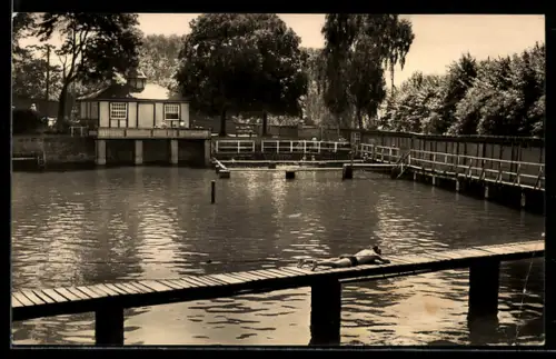 AK Seehausen /Kr. Wanzleben, Schwimmbad