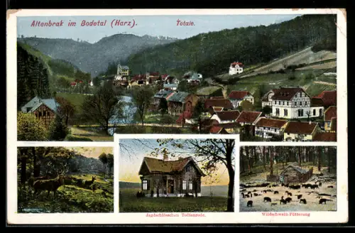 AK Altenbrak, Jagdschlösschen Todtenrode, Wildschwein-Fütterung, Hirsche, Ortsansicht