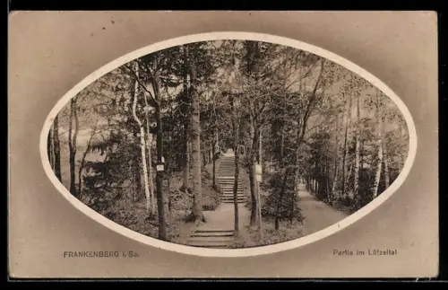 AK Frankenberg i. Sa., Partie im Lützeltal