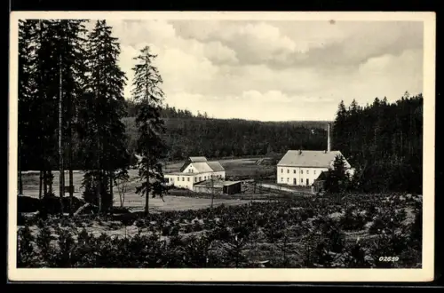 AK Marienberg /Sa., Gasthaus Ritzens Brettmühle