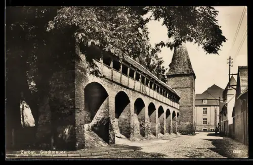 AK Zerbst, Stadtmauer mit Strassenpartie
