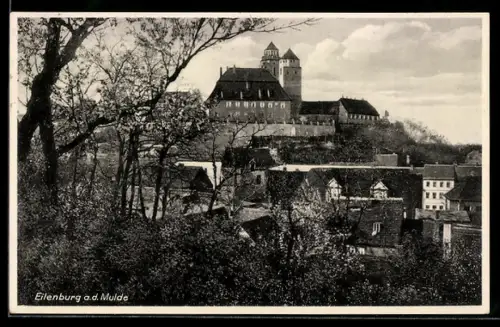 AK Eilenburg a. d. Mulde, Teilansicht mit Schloss