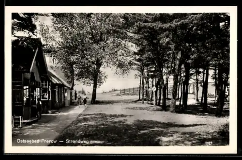 AK Prerow, Ostseebad, Strandweg