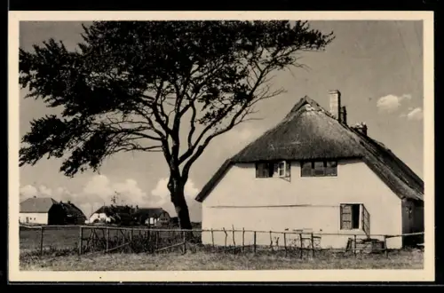 AK Hiddensee, Haus mit Garten