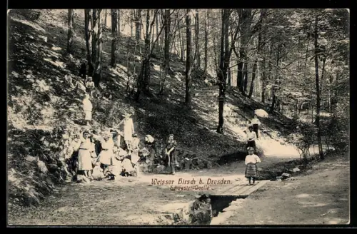 AK Dresden-Weisser Hirsch, Partie an der Schwestern-Quelle
