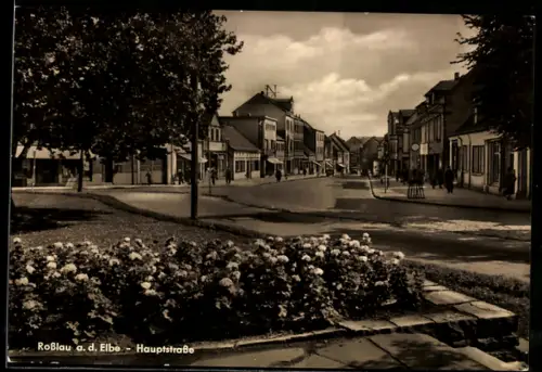AK Rosslau a. d. Elbe, Hauptstrasse, Panorama mit Anlage u. Geschäften