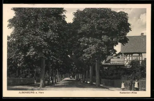AK Ilsenburg a. Harz, Kastanien-Allee mit Kindern
